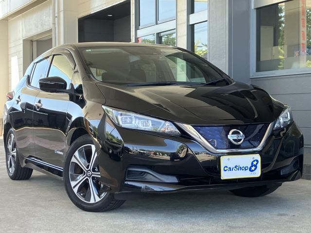 2018 Nissan Leaf X