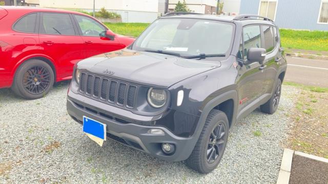 2019 CHRYSLERJEEP JEEP Renegade Trailhawk