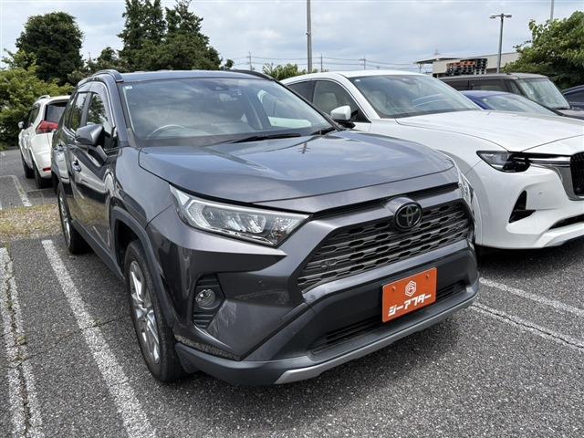 2020 Toyota RAV4 5D 2.0 G Z Package 4WD