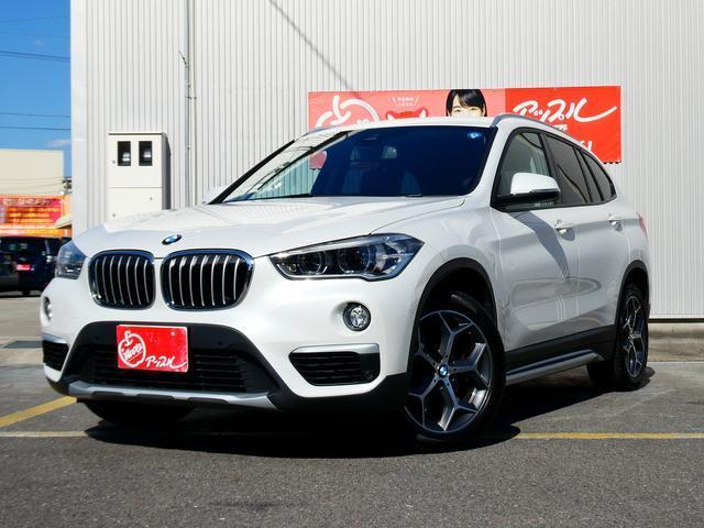 2019 BMW BMW X1 xDrive 18d xLine