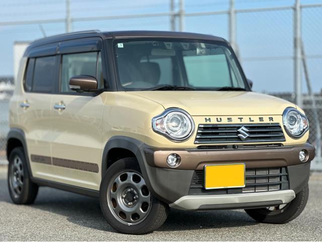 2019 Suzuki Hustler Wanderer All-around Monitor