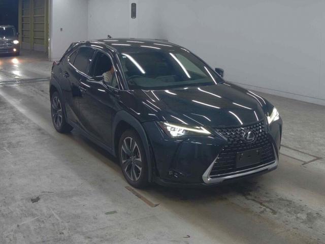 2023 UX Hybrid UX250h VERSION L