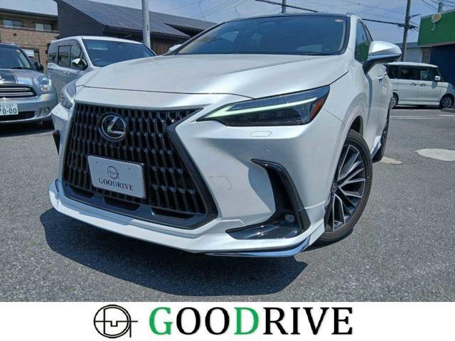 2024 LEXUS NX 250 Version L