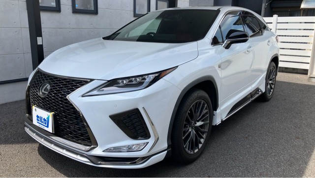2021 RX RX300 F Sport — Photo 1