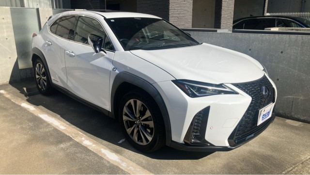 2019 UX Hybrid UX250h F SPORT — Photo 1