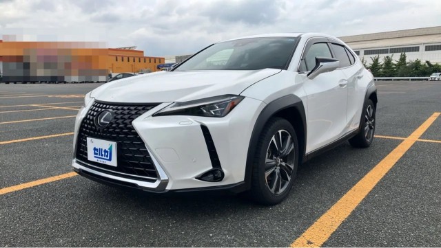 2019 UX Hybrid UX250h VERSION L — Photo 1