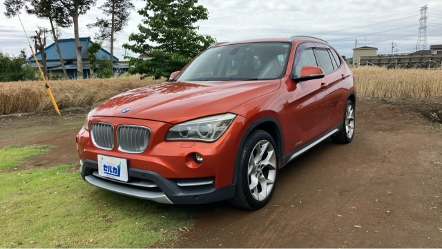 2013 BMW BMW X1 xDrive 20i xLine