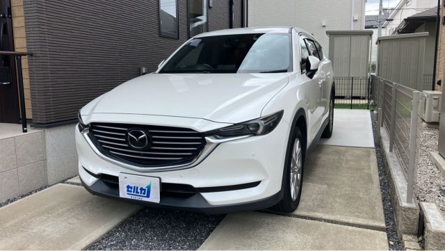2018 MAZDA CX-8 XD Proactive