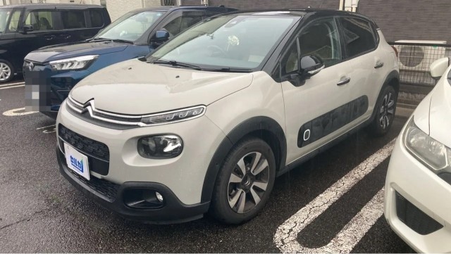 2019 CITROEN CITROEN C3 Shine