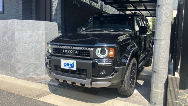 2025 Toyota LandCruiser 250 VX