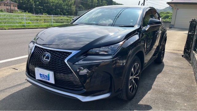 2014 NX Hybrid NX300h F SPORT — Photo 1
