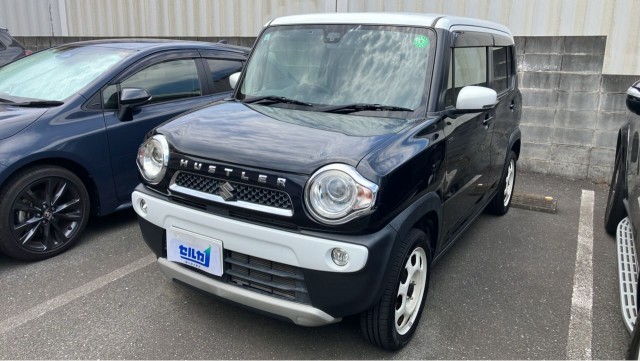 2015 Suzuki Hustler J Style