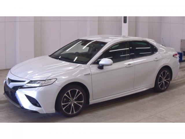 2019 Toyota Camry Sedan WS
