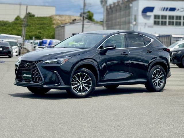 2023 LEXUS NX NX250