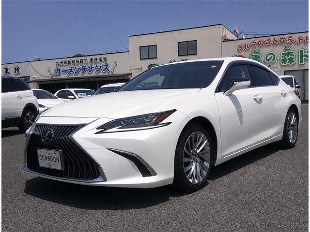 2019 LEXUS ES 300h Version L