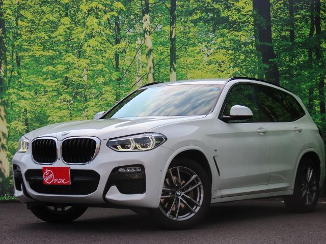 2019 BMW BMW X3 xDrive 20d M Sport