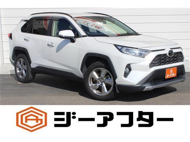 2020 Toyota RAV4 5D 2.0G 4WD