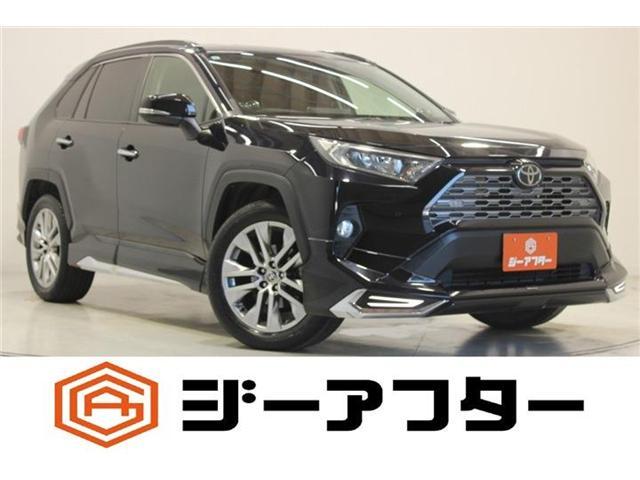 2019 Toyota RAV4 5D 2.0 G Z Package 4WD