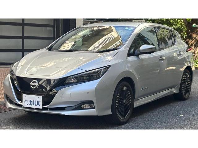 2023 Nissan Leaf X V Selection