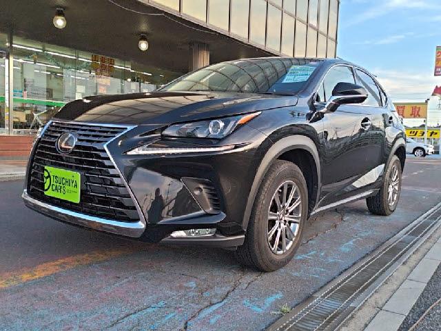 2019 Lexus NX 2.0 NX300