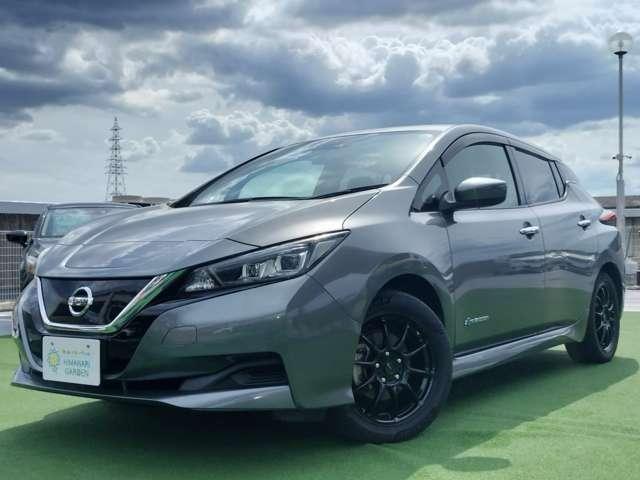 2019 Nissan Leaf X
