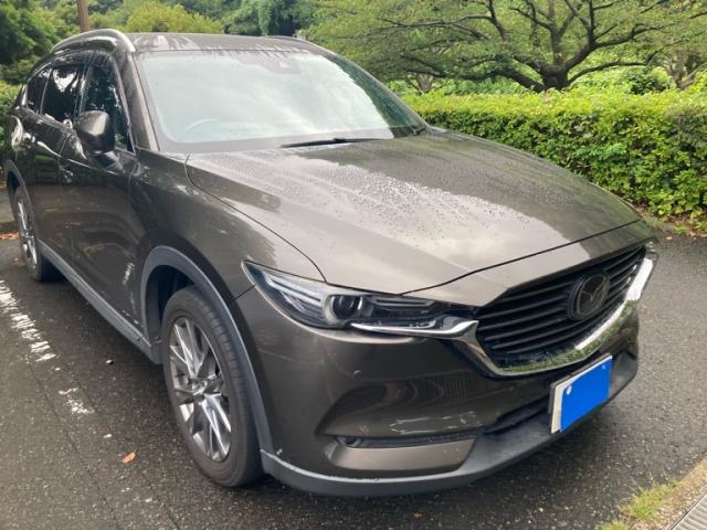 2019 Mazda CX-8 XD_L Package