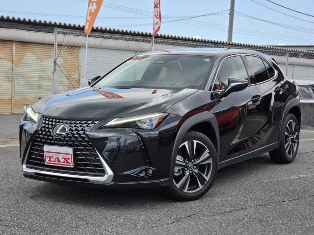 2024 Lexus UX Hybrid UX300h VERSION C