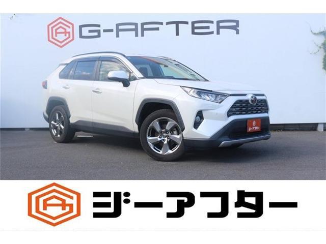 2019 Toyota RAV4 5D 2.0G 4WD