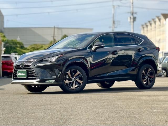 2021 Lexus NX NX300 Spice & Chic