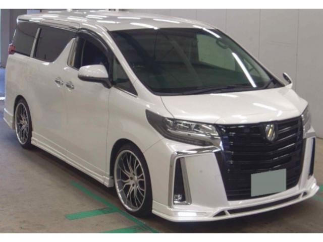 2019 Toyota Alphard 2.5S Cパッケージ エアロ