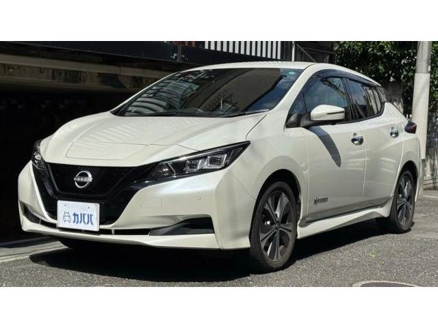 2021 Nissan Leaf X V Selection