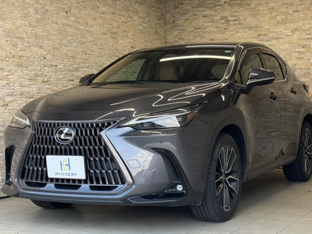 2023 Lexus NX NX250 Version L