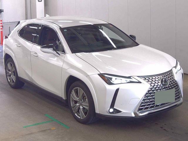 2023 Lexus UX Hybrid UX250h Special Edition Graceful Explorer
