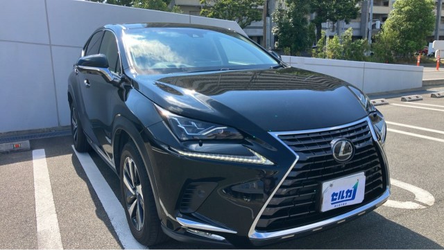 2018 Lexus NX NX300i Package