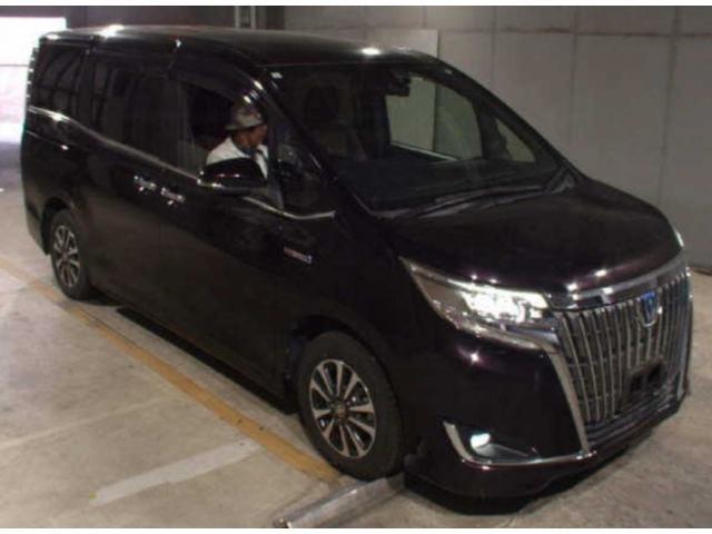 2019 Toyota ESQUIRE Hybrid Gi Premium P