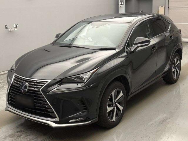 2021 Lexus NX Hybrid NX300h Spice & Chic