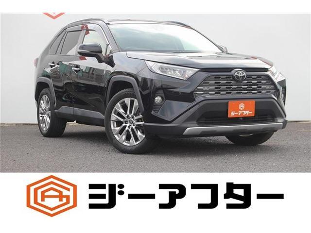2019 Toyota RAV4 5D 2.0 G Z Package 4WD