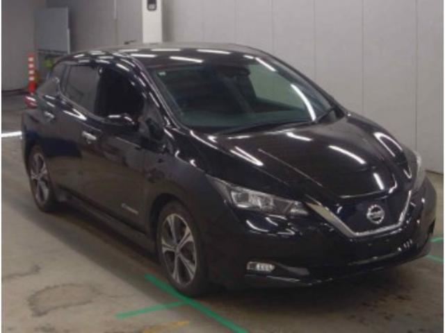 2019 Nissan Leaf X V Selection