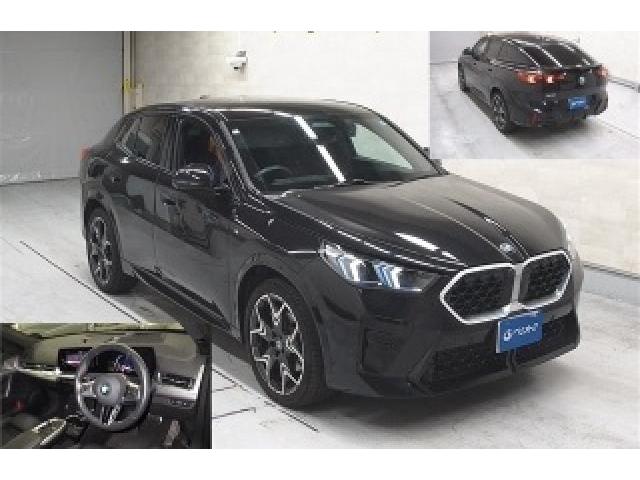 2024 BMW X2 xDrive 20i M Sport