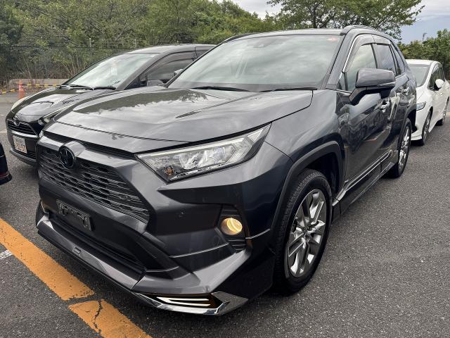 2019 Toyota RAV4 5D G Z Package Modellista Cold Weather Specification