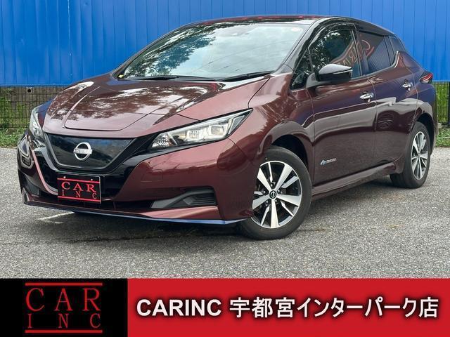 2021 Nissan Leaf e+X