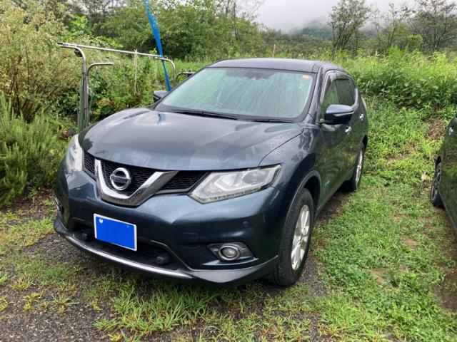 2015 Nissan X-TRAIL 20X Emergency Brake Package