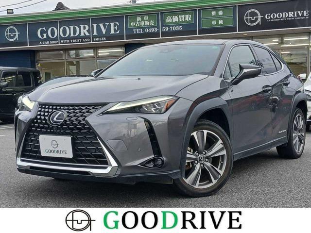2022 Lexus UX300e Version L
