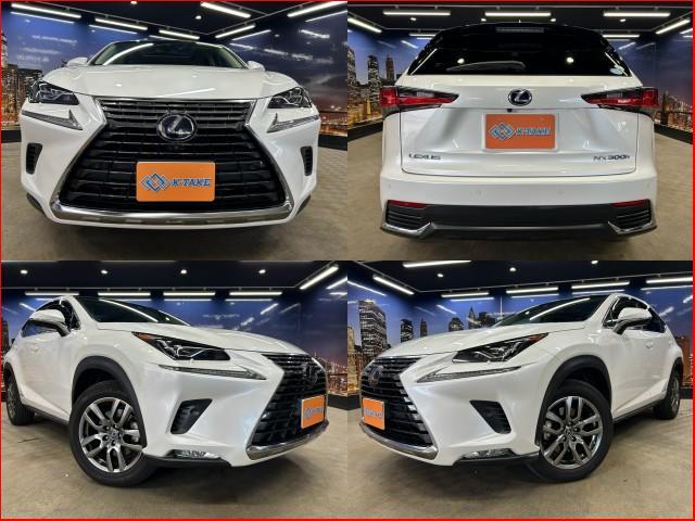 2017 Lexus NX Hybrid NX300h Version L
