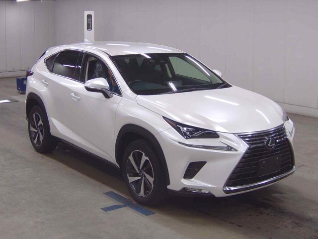 2019 Lexus NX NX300i Package