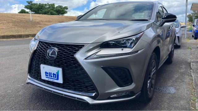 2020 Lexus NX Hybrid NX300h Cool & Bright