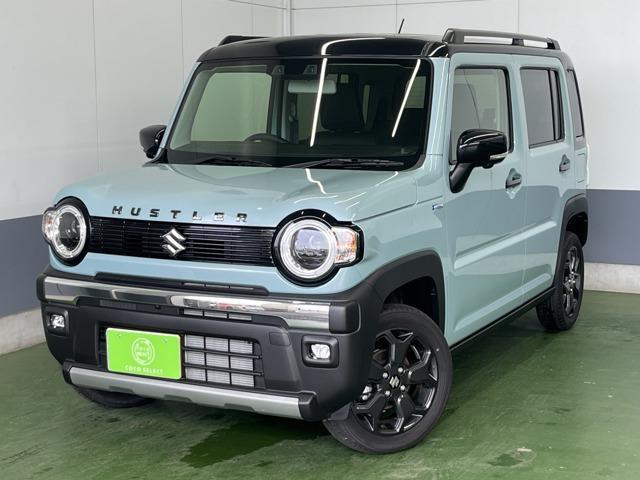 2025 Suzuki Hustler 660 Tough Wild 4WD