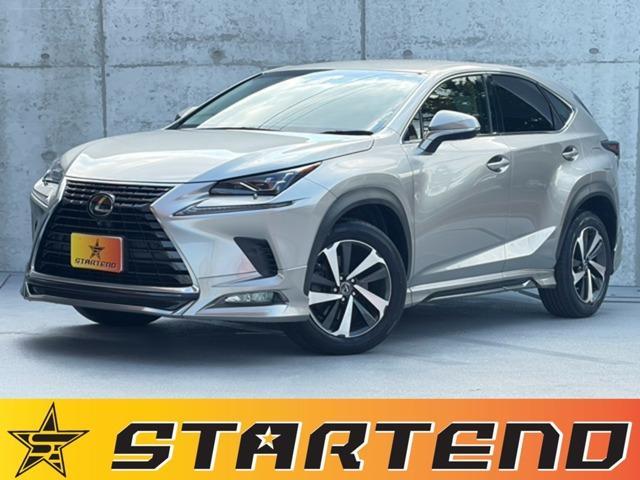 2018 Lexus NX 300 I Package