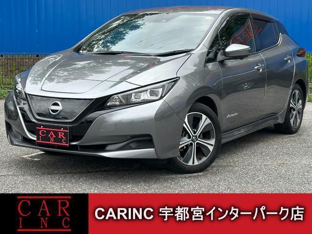 2021 Nissan Leaf X V Selection