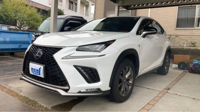 2019 Lexus NX Hybrid NX300h F SPORT